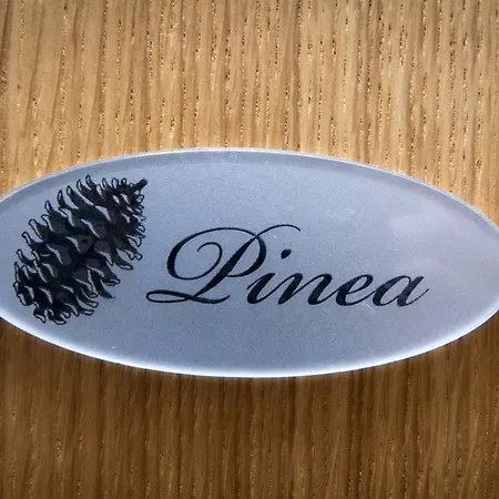 Pimlico Apartment *